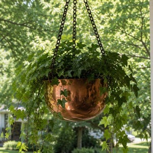 May include: A polished copper hanging planter with a rounded bowl shape, suspended by three black metal chains. The planter is filled with a lush, trailing green ivy plant that spills over the metallic edges, creating a vibrant contrast.