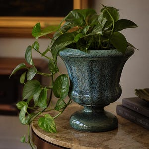 May include: A teal ceramic urn-shaped planter with a mottled, glossy finish and a pedestal base. The planter features a wide, flared rim and contains a trailing green pothos plant with heart-shaped leaves that drape over the side of the vessel.