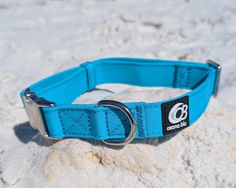 Coastal Dog Collar – Adjustable Polyester Collar for Small Medium Large Dogs – Beach Style by Ozona Blu