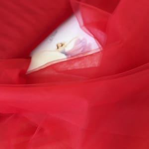Red Tulle,  118" (3m) Wide Soft Bridal Tulle by the Yard for Tutu Skirts, Dressmaking, Wedding Netting, DIY Crafts, Fine Quality Tulle