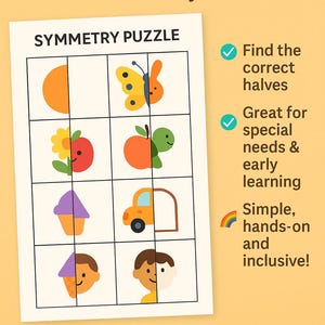 Symmetry Puzzle