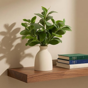 May include: A matte off-white ceramic vase with a rounded base and narrow neck, containing a lush artificial green plant with oval leaves. The vase sits on a wooden shelf next to a stack of three books with green, blue, and white covers.