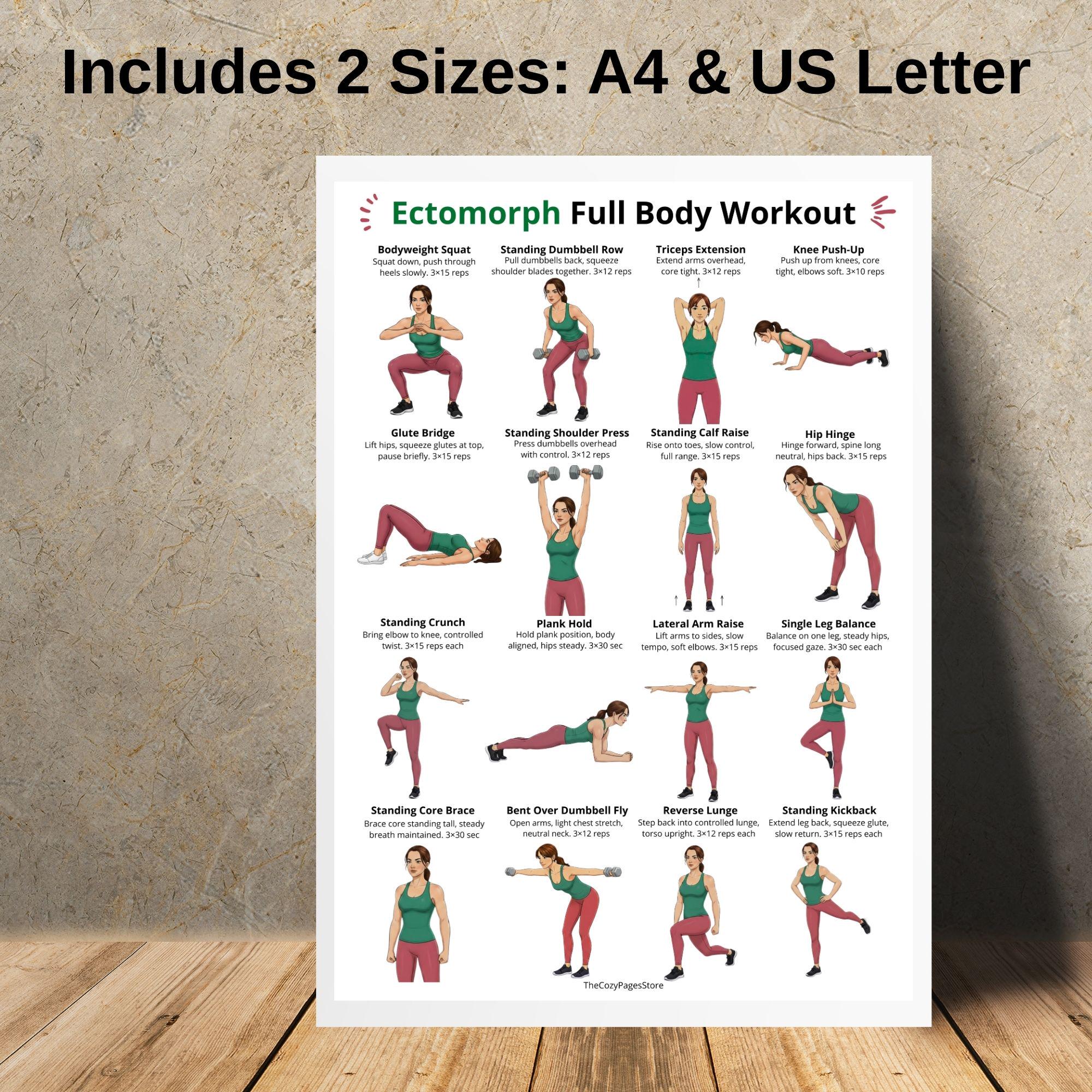 Ecomorph Chart Ectomorph Full Body Workout Poster PDF, Dumbbell and Bodyweight ...