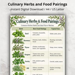 Pode incluir: Um gráfico digital intitulado Culinary Herbs & Food Pairings com ilustrações de manjericão, alecrim, tomilho, orégano, salsa e endro. A tabela lista ervas, as melhores combinações de alimentos e os usos típicos na cozinha.