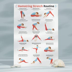 May include: A poster titled "Hamstring Stretch Routine" displays illustrated yoga poses. Each pose is demonstrated by a person in red pants and a blue shirt. The poster includes text describing each stretch, such as "Standing Forward Fold" and "Downward Dog Hold."