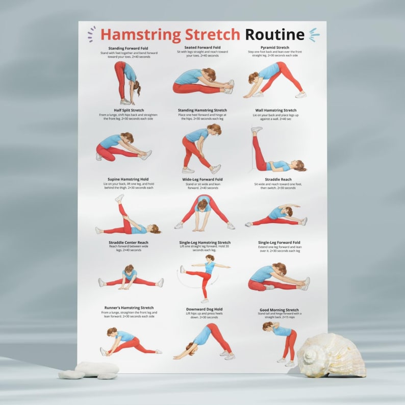 May include: A poster titled "Hamstring Stretch Routine" displays illustrated yoga poses. Each pose is demonstrated by a person in red pants and a blue shirt. The poster includes text describing each stretch, such as "Standing Forward Fold" and "Downward Dog Hold."