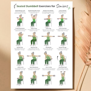 May include: A white poster titled "Seated Dumbbell Exercises for Seniors" with illustrations of exercises. The exercises include bicep curls, shoulder press, front raises, lateral raises, tricep extensions, chest press, chest flys, front punches, seated row, reverse flys, side bends, seated shrugs, wrist curls, wrist rotations, arm circles, and overhead hold.