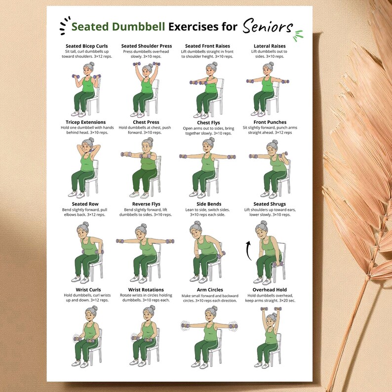 May include: A white poster titled "Seated Dumbbell Exercises for Seniors" with illustrations of exercises. The exercises include bicep curls, shoulder press, front raises, lateral raises, tricep extensions, chest press, chest flys, front punches, seated row, reverse flys, side bends, seated shrugs, wrist curls, wrist rotations, arm circles, and overhead hold.
