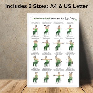 May include: A white poster with the title "Seated Dumbbell Exercises for Seniors" and illustrations of exercises. The exercises include bicep curls, shoulder press, front raises, lateral raises, tricep extensions, chest press, chest flys, front punches, seated row, reverse flys, side bends, seated shrugs, wrist curls, wrist rotations, arm circles, and overhead hold.