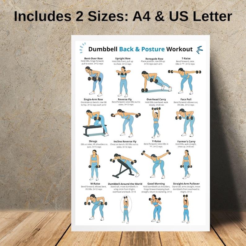 May include: A white poster with a "Dumbbell Back & Posture Workout" guide. The poster includes illustrations of various exercises, such as Bent-Over Row, Upright Row, and Renegade Row. The text at the top says "Includes 2 Sizes: A4 & US Letter".