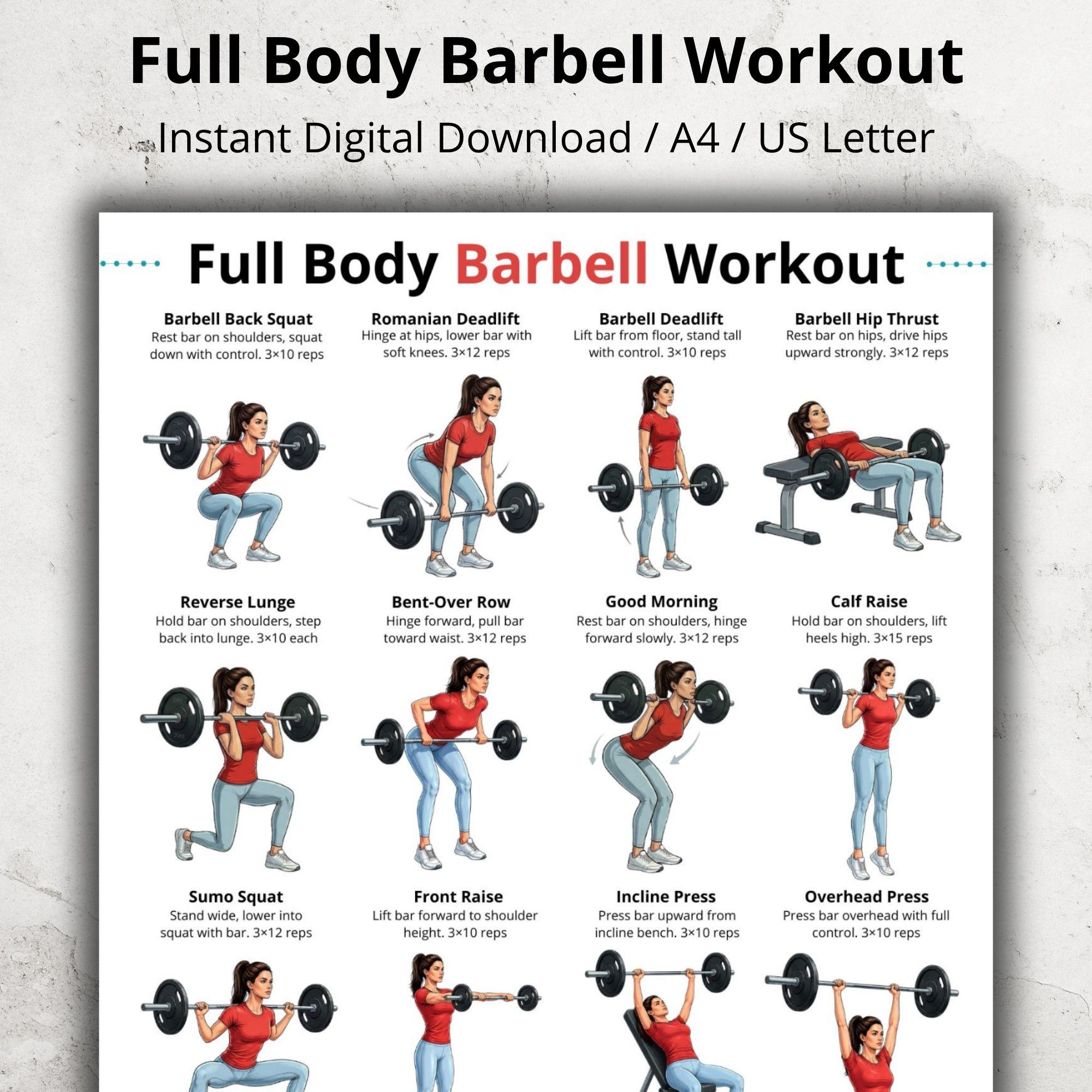 Full Body Barbell Workout Printable, Barbell Exercises for Home and Gym ...