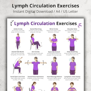 May include: A digital download titled "Lymph Circulation Exercises" in A4 and US Letter sizes. The image shows a guide with illustrations demonstrating exercises such as ankle circles, seated marching, and deep breathing. The exercises are designed to improve lymphatic circulation.