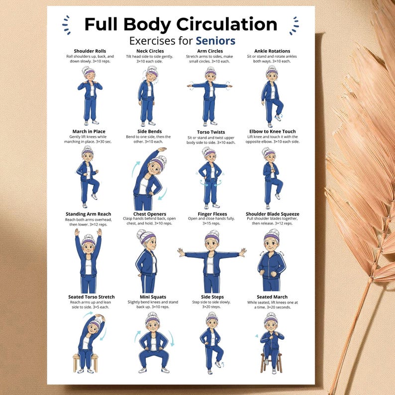 May include: A poster titled "Full Body Circulation Exercises for Seniors" displays illustrated exercises. The exercises include shoulder rolls, neck circles, arm circles, ankle rotations, marching in place, side bends, torso twists, and elbow to knee touch.