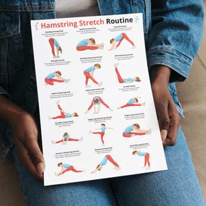 May include: A white poster titled "Hamstring Stretch Routine" held by a person. The poster features illustrated figures demonstrating various hamstring stretches, including standing forward fold, seated forward fold, and pyramid stretch. The figures are wearing red and blue clothing.