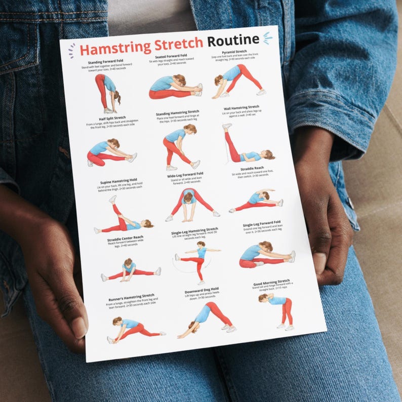 May include: A white poster titled "Hamstring Stretch Routine" held by a person. The poster features illustrated figures demonstrating various hamstring stretches, including standing forward fold, seated forward fold, and pyramid stretch. The figures are wearing red and blue clothing.