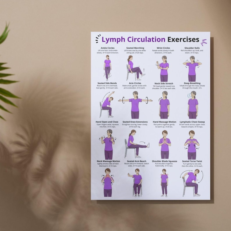 K&ouml;nnte beinhalten: Ein wei&szlig;es Poster mit dem Titel "Lymphzirkulations&uuml;bungen" und Illustrationen verschiedener &Uuml;bungen. Die &Uuml;bungen umfassen Fu&szlig;gelenkkreise, Sitzm&auml;rsche, Handgelenkkreise und Schulterrollen. Die Figuren tragen lila Hemden.