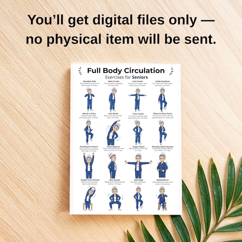 May include: A white poster with the text "Full Body Circulation Exercises for Seniors" and illustrations of exercises. The text "You'll get digital files only - no physical item will be sent" is at the top.
