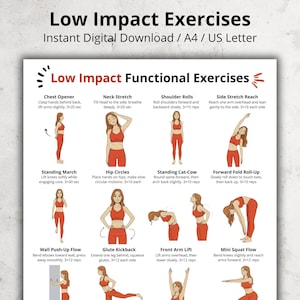 Low Impact Functional Exercises Chart | Beginner Standing Full Body Movements | Gentle Home Workout Wall Art | No Equipment Fitness Poster