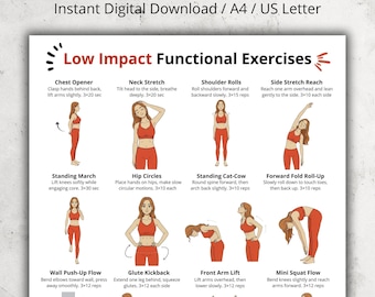Low Impact Functional Exercises Chart | Beginner Standing Full Body Movements | Gentle Home Workout Wall Art | No Equipment Fitness Poster
