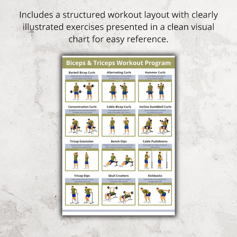 Biceps & Triceps Workout Poster, Arm Day Gym Exercise Chart, Upper Body ...