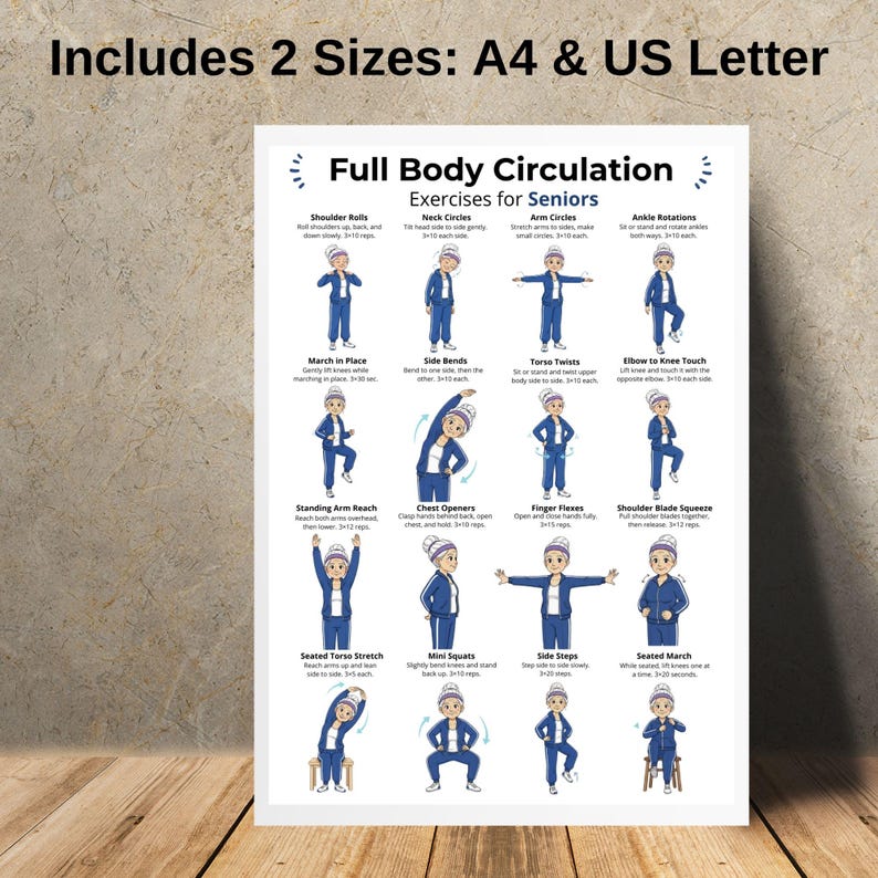 May include: A white poster with the text "Full Body Circulation Exercises for Seniors" and illustrations of various exercises. The poster includes the text "Includes 2 Sizes: A4 & US Letter".