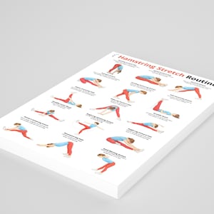May include: A stack of white paper sheets featuring a "Hamstring Stretch Routine" guide. The guide illustrates various hamstring stretches with figures in red and blue activewear. The title is in red, with the word "Routine" in black.