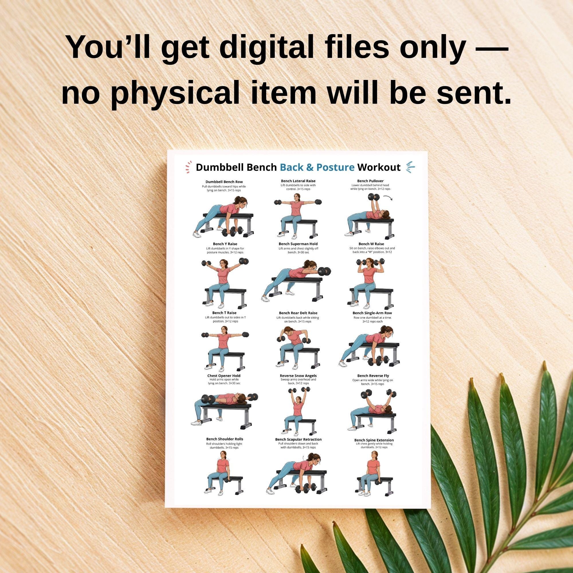 Dumbbell Bench Back & Posture Workout Poster – Seated Dumbbell Bench ...