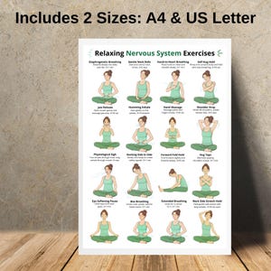 May include: A white poster with illustrations of yoga poses and the text "Relaxing Nervous System Exercises." The poster includes instructions for various exercises, such as diaphragmatic breathing and jaw release. The text "Includes 2 Sizes: A4 & US Letter" is at the top.