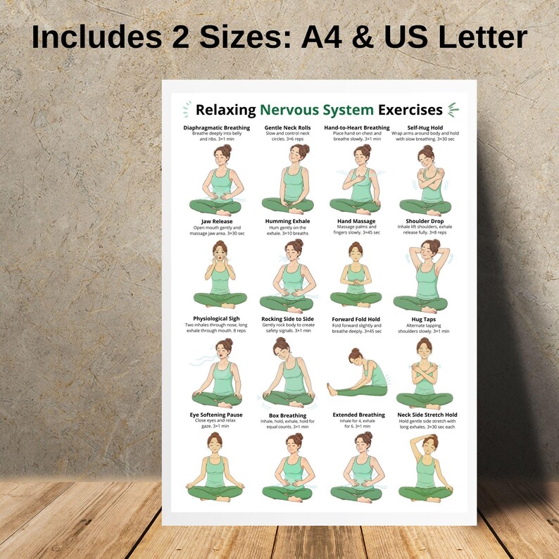 May include: A white poster with illustrations of yoga poses and the text "Relaxing Nervous System Exercises." The poster includes instructions for various exercises, such as diaphragmatic breathing and jaw release. The text "Includes 2 Sizes: A4 & US Letter" is at the top.