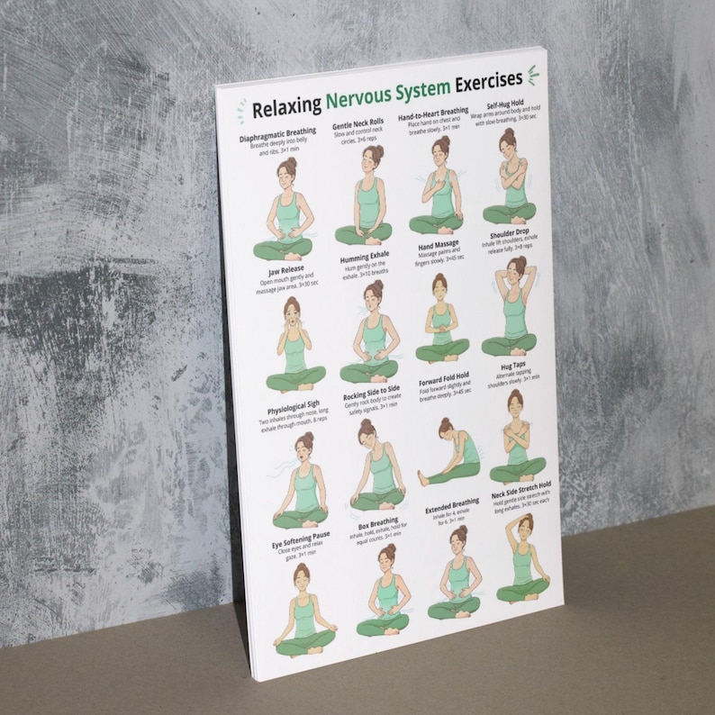 May include: A white poster titled "Relaxing Nervous System Exercises" featuring illustrations of yoga poses. The poster includes text describing each exercise, such as "Diaphragmatic Breathing" and "Gentle Neck Rolls". The illustrations show a person in a green tank top.