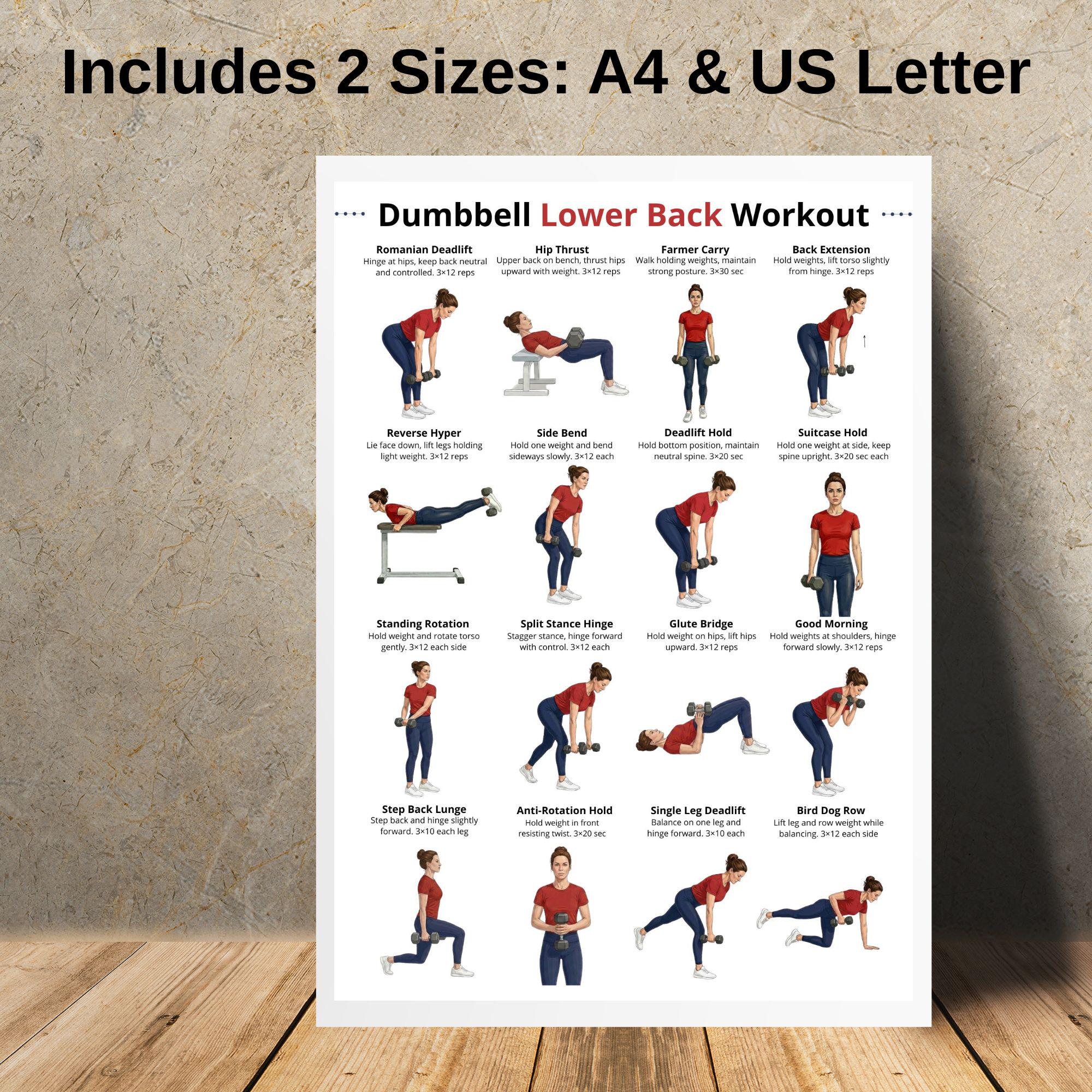 Dumbbell Lower Back Exercises Printable, Back and Glutes Dumbbell ...