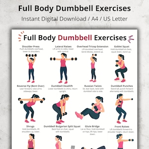 Full Body Dumbbell Workout Chart – Home Dumbbell Exercises, Printable Exercises Poster, Home Fitness Routine, Beginner Dumbbell Exercises