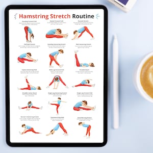 May include: A tablet displays a "Hamstring Stretch Routine" guide with illustrated exercises. The guide includes various stretches like Standing Forward Fold and Pyramid Stretch, with instructions and durations. A white stylus and a cup of coffee are on the table.