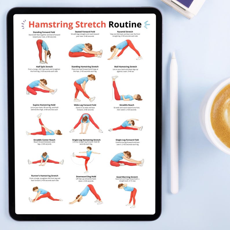 May include: A tablet displays a "Hamstring Stretch Routine" guide with illustrated exercises. The guide includes various stretches like Standing Forward Fold and Pyramid Stretch, with instructions and durations. A white stylus and a cup of coffee are on the table.