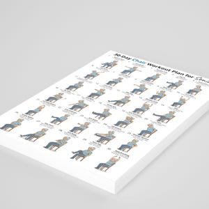 Puede incluir: Una pila de hojas de papel blancas con un plan de entrenamiento en silla de 30 d&iacute;as para personas mayores. El plan incluye ilustraciones de ejercicios realizados sentado. El texto en la parte superior dice "30-Day Chair Workout Plan for Seniors."