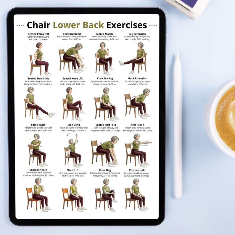 chair-lower-back-exercises-for-seniors-pdf-seated-lower-back-exercises