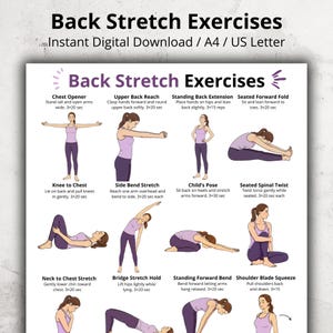 以下が含まれることがあります： 「Back Stretch Exercises」と題されたデジタルプリントで、さまざまなストレッチのイラストが描かれています。エクササイズには、Chest Opener、Upper Back Reach、Seated Forward Foldが含まれます。A4およびUSレターサイズ向けに設計されています。