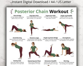 Posterior Chain Workout Poster PDF, Glutes Hamstrings Lower Back Exercise Chart Printable, Hip and Back Workout Gym Wall Chart
