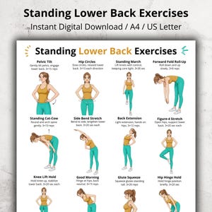 Peut inclure: Téléchargement numérique intitulé "Standing Lower Back Exercises" avec des illustrations de divers exercices. Les exercices comprennent l'inclinaison pelvienne, les cercles de hanches, la marche debout, le pliage avant, etc.
