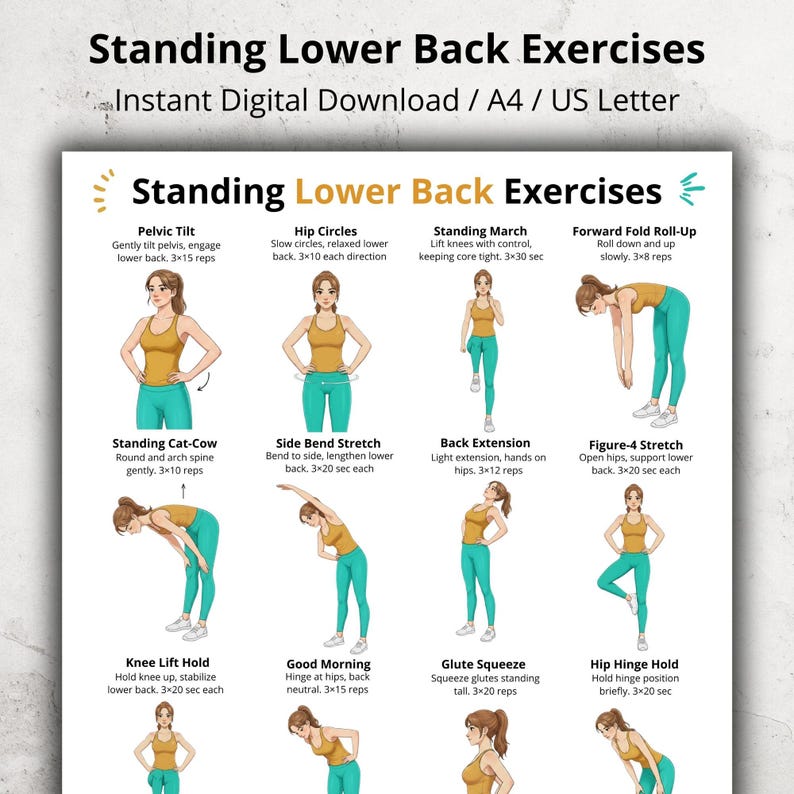 Standing Lower Back Exercises for Older Adults PDF Printable, No ...