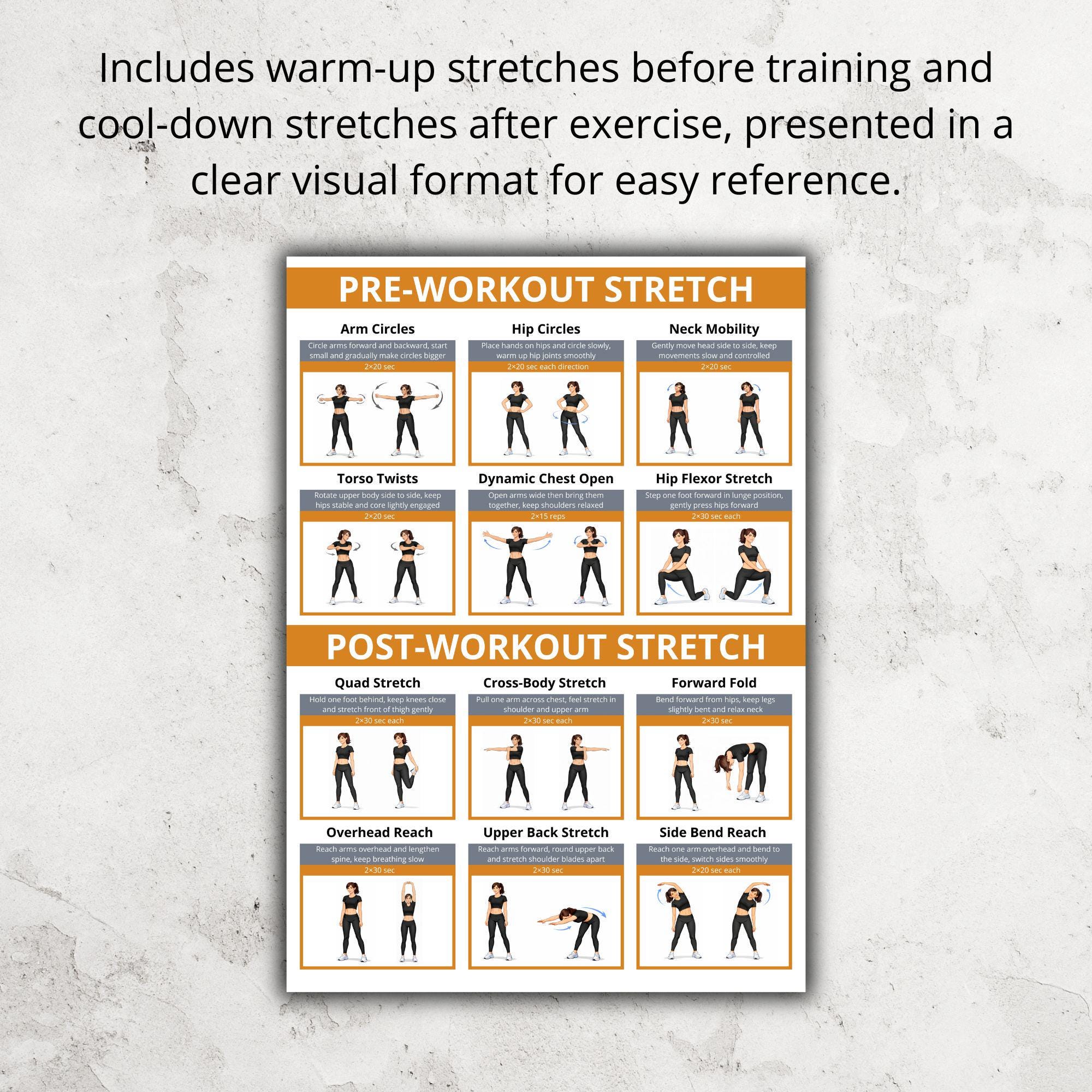 Back & Posture Workout Poster Printable PDF, Upper Back and Mid Back ...