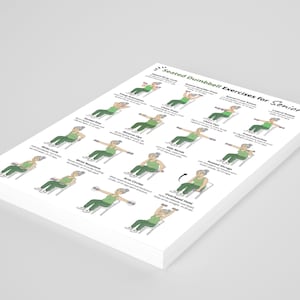 May include: A stack of white paper sheets with a printed guide titled "Seated Dumbbell Exercises for Senior". The guide features illustrations of exercises with dumbbells, including wrist curls, arm circles, and overhead holds.