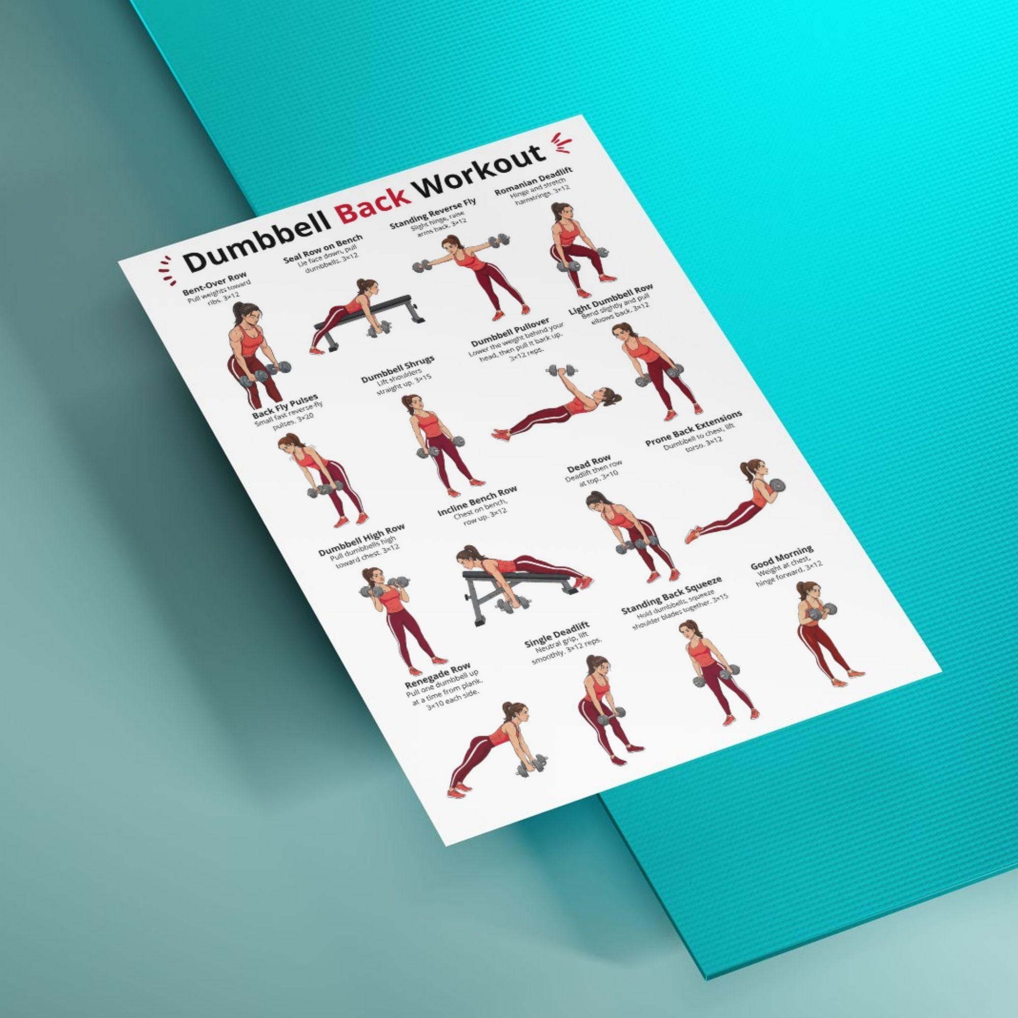 Poster D’entraînement Sportaxis – 32 Exercices Poids Du Corps, Recto Verso, Laminé, 41,9 X 68,6 Cm