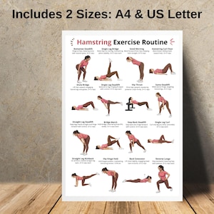 Puede incluir: Un p&oacute;ster blanco con el texto "Includes 2 Sizes: A4 & US Letter" en la parte superior. El p&oacute;ster presenta ilustraciones de varios ejercicios de isquiotibiales, incluyendo peso muerto rumano y puente de una pierna. El texto "Hamstring Exercise Routine" est&aacute; en la parte superior.