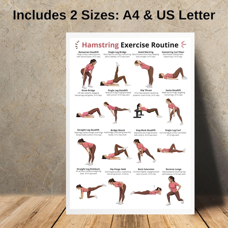 Puede incluir: Un p&oacute;ster blanco con el texto "Includes 2 Sizes: A4 & US Letter" en la parte superior. El p&oacute;ster presenta ilustraciones de varios ejercicios de isquiotibiales, incluyendo peso muerto rumano y puente de una pierna. El texto "Hamstring Exercise Routine" est&aacute; en la parte superior.