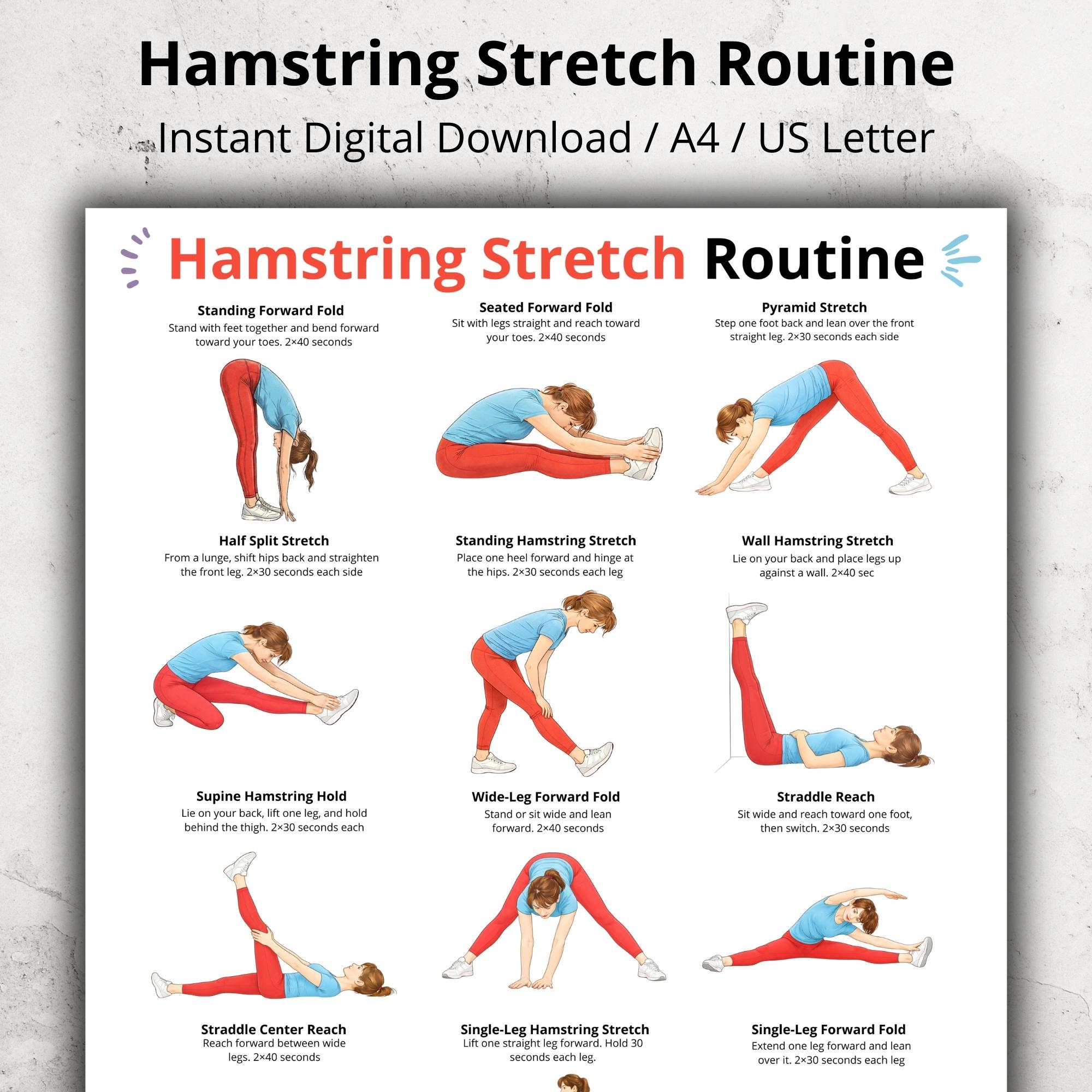 Hamstring Stretch PDF, Hamstring Exercises, Leg Stretching Workout ...