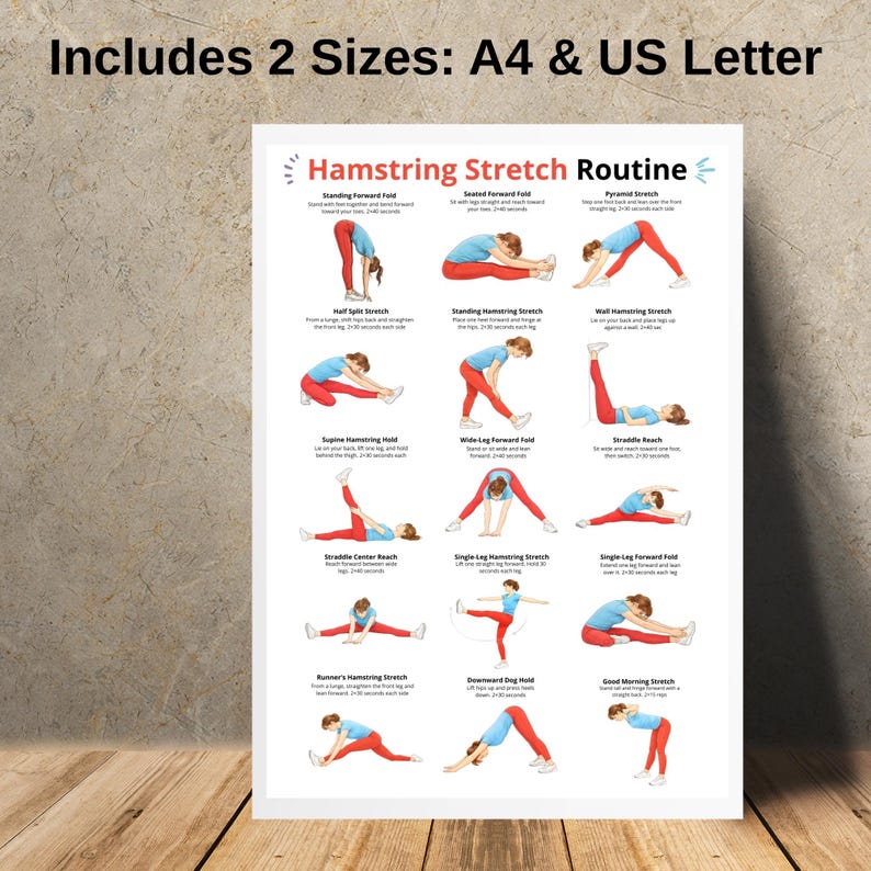 May include: A white poster with a hamstring stretch routine, featuring illustrations of various stretches. The poster includes the text "Includes 2 Sizes: A4 & US Letter" at the top. The illustrations show people performing different stretches.