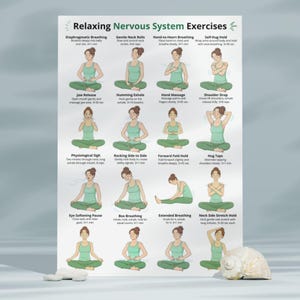 May include: A poster titled "Relaxing Nervous System Exercises" features illustrations of various relaxation techniques. Each exercise is demonstrated by a woman in a green tank top, with instructions. A seashell and a small rock are in the foreground.
