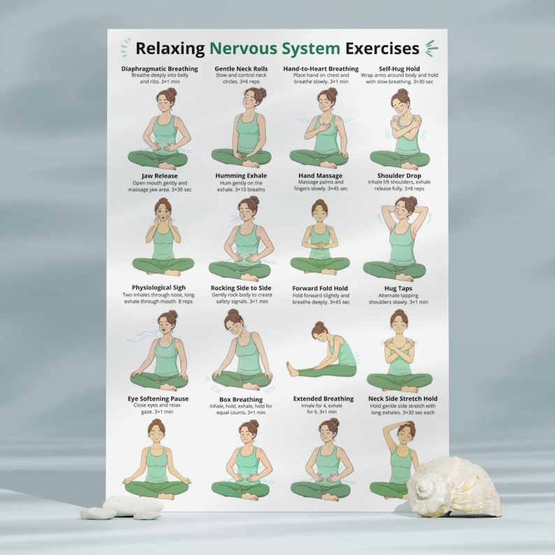 May include: A poster titled "Relaxing Nervous System Exercises" features illustrations of various relaxation techniques. Each exercise is demonstrated by a woman in a green tank top, with instructions. A seashell and a small rock are in the foreground.