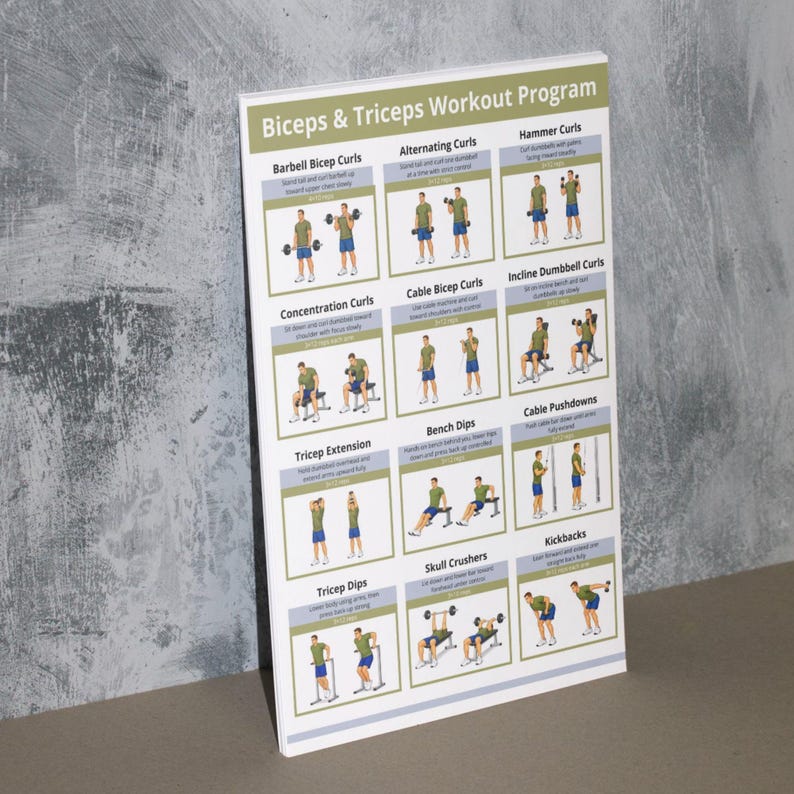Biceps & Triceps Workout Poster, Arm Day Gym Exercise Chart, Upper Body ...